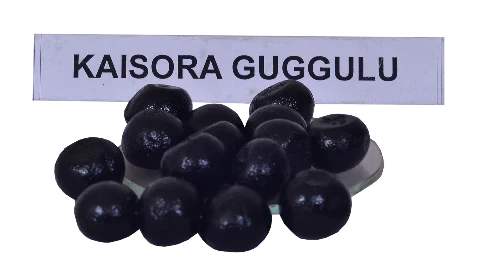 Kaisoram Gulgulu-1 no.