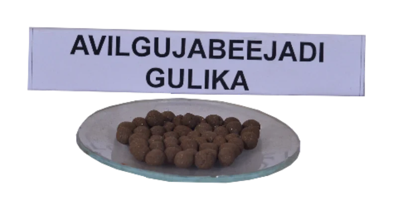 Avilgujabeejadi Gulika - 1 No
